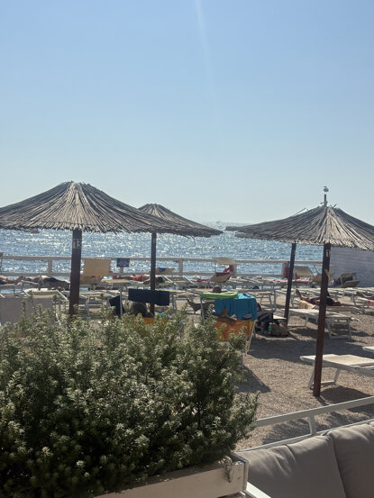 img_3391.jpeg