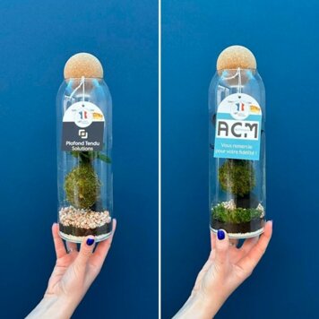 image site terrariums.jpeg