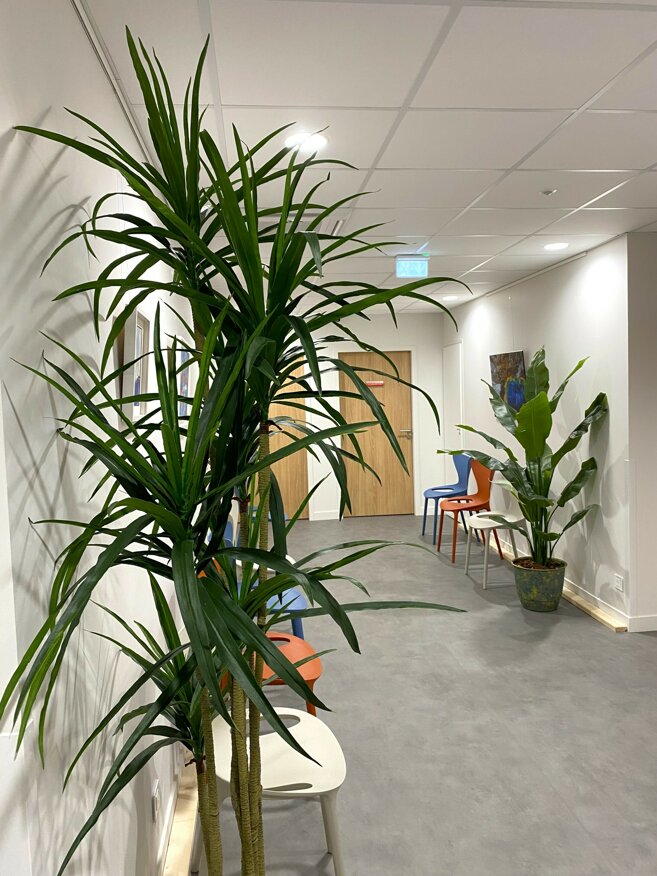 2025 09 - installation plantes (2).jpeg