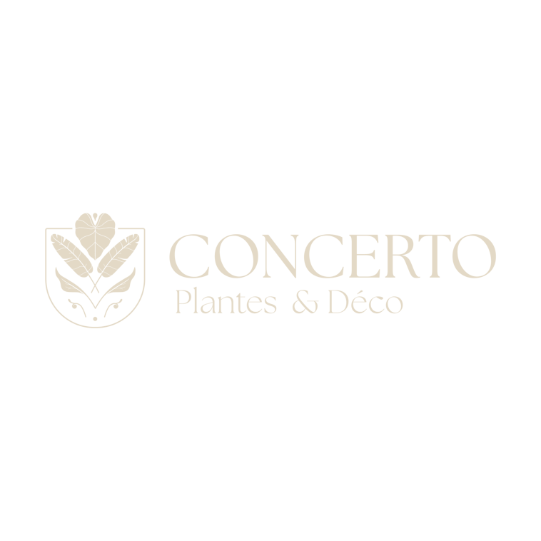 logo web secondaire concerto_creme