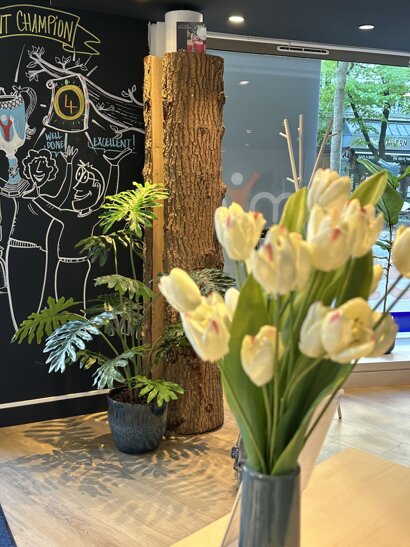 2026 04 myes plantes (2).jpeg