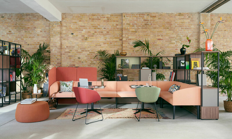 sedus photos (22).jpeg