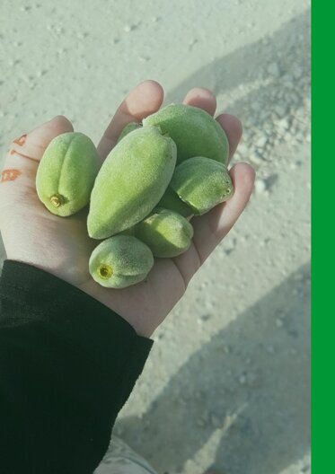 copia di 19. un 20 juli 19 uhr theater x.jpeg copia di 19. un 20 juli 19 uhr theater x.jpeg