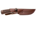 blackfox-companion-bf741