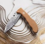 victorinox-evoke-wood-damast-2026-limited-edition-09410j26