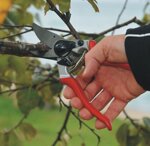 felco-set-potatura-felco-8-felco-600-forbice-potatura-seghetto-chiudibile