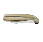 viper-senese-serie-regionali-corno-di-bue-440a