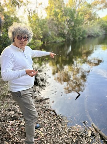 img_2105.jpeg img_2105.jpeg