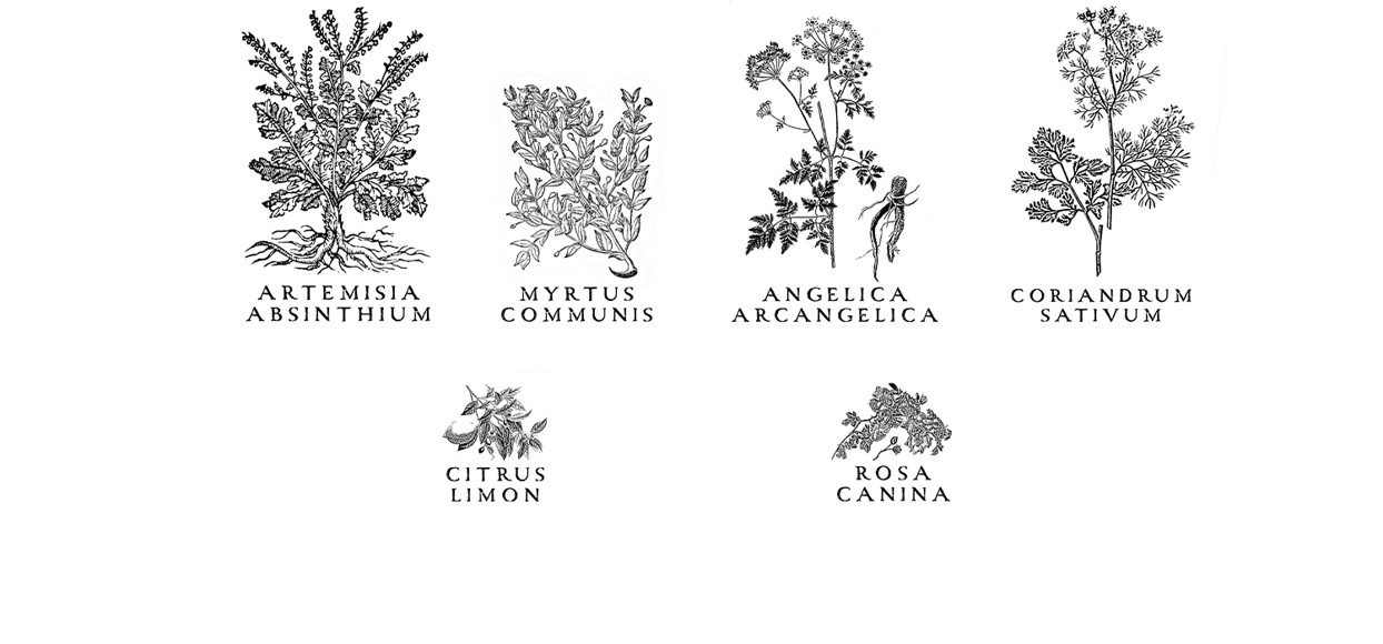 eyJpdCI6IkRpc3RpbGxlcmlhIExvZ2EgbGlxdW9yaSBhcnRpZ2lhbmFsaSBTYXJkaSBTYXJkZWduYSBTdSBDb3JvIElzc3UgQW1hcm8gS+hyYmVyb3MgRWx1bmUgYm90YW5pY2FsIHNwaXJpdCBnaW4gbG9uZG9uIGRyeSBsaXF1b3JlIGFsbGUgZXJiZSBsaXF1b3JlIGRpIGNhbW9taWxsYSJ9