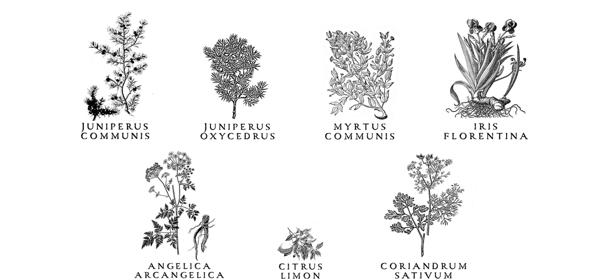 eyJpdCI6IkRpc3RpbGxlcmlhIExvZ2EgbGlxdW9yaSBhcnRpZ2lhbmFsaSBTYXJkaSBTYXJkZWduYSBTdSBDb3JvIElzc3UgQW1hcm8gS+hyYmVyb3MgRWx1bmUgYm90YW5pY2FsIHNwaXJpdCBnaW4gbG9uZG9uIGRyeSBsaXF1b3JlIGFsbGUgZXJiZSBsaXF1b3JlIGRpIGNhbW9taWxsYSJ9