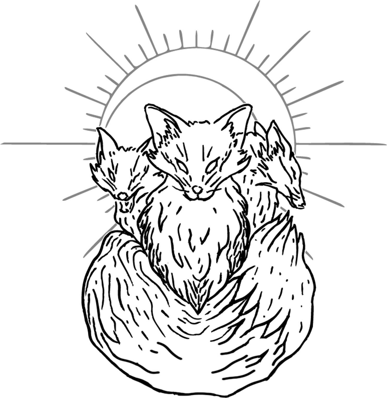 00 kèrberos dis copiabn