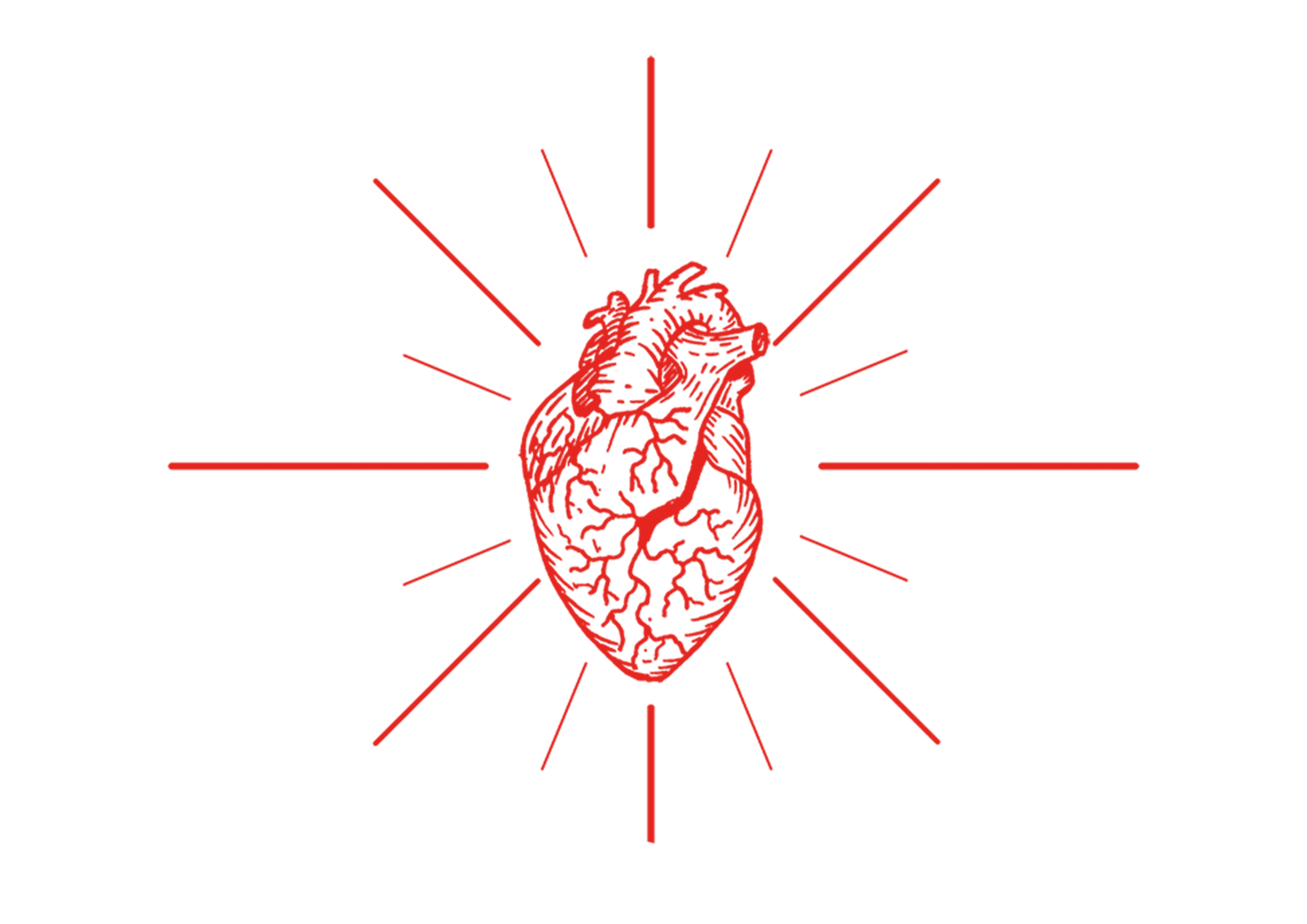 eyJpdCI6IkRpc3RpbGxlcmlhIExvZ2EgbGlxdW9yaSBhcnRpZ2lhbmFsaSBTYXJkaSBTYXJkZWduYSBTdSBDb3JvIElzc3UgQW1hcm8gS+hyYmVyb3MgRWx1bmUgYm90YW5pY2FsIHNwaXJpdCBnaW4gbG9uZG9uIGRyeSBsaXF1b3JlIGFsbGUgZXJiZSBsaXF1b3JlIGRpIGNhbW9taWxsYSJ9