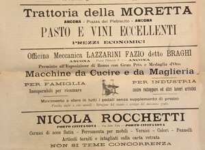 img_0181.jpeg img_0181.jpeg