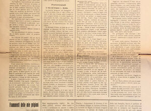 img_0228.jpeg img_0228.jpeg