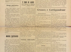 img_0179.jpeg img_0179.jpeg