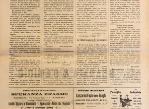 img_0172.jpeg img_0172.jpeg