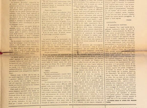 img_0164.jpeg img_0164.jpeg