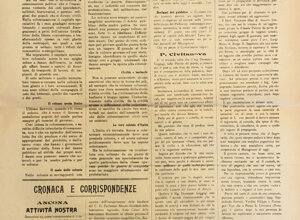 img_0203.jpeg img_0203.jpeg