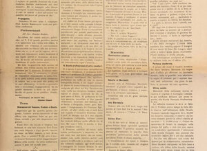 img_0165.jpeg img_0165.jpeg