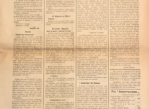 img_0206.jpeg img_0206.jpeg