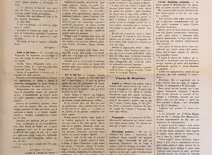 img_0194.jpeg img_0194.jpeg