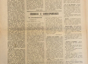 img_0225.jpeg img_0225.jpeg