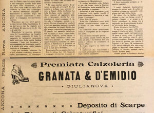 img_0208.jpeg img_0208.jpeg