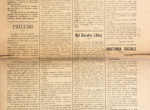 img_0223.jpeg img_0223.jpeg