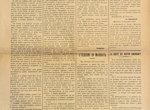 img_0224.jpeg img_0224.jpeg