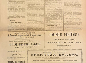 img_0205.jpeg img_0205.jpeg