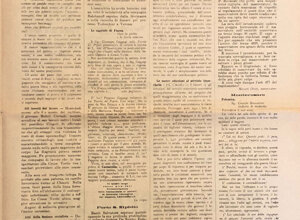 img_0222.jpeg img_0222.jpeg