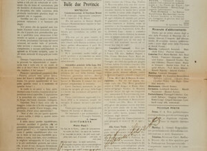 _dsc4750.jpeg _dsc4750.jpeg