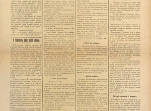 img_0204.jpeg img_0204.jpeg