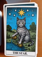cat-tarot-the-22-major-arcana