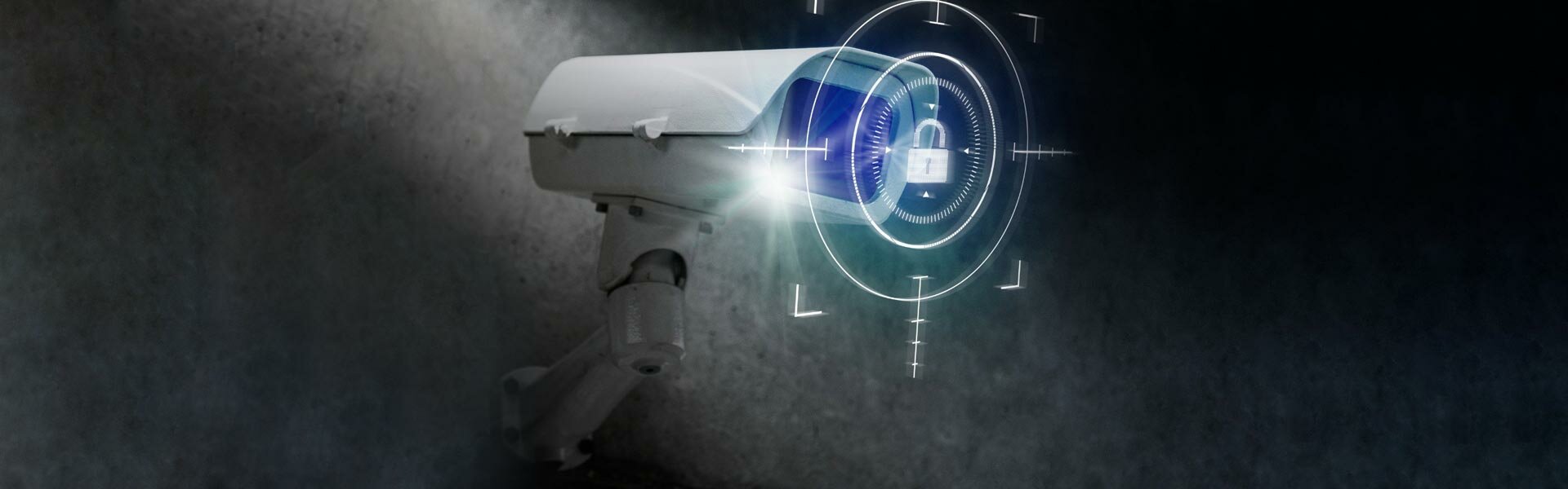 VIDEOSORVEGLIANZA E PRIVACY