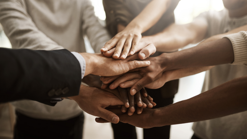 team regista registi insegnanti docenti