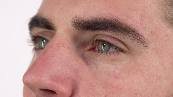 GLI OCCHI VERDI DELL'AMORE GLI OCCHI VERDI DELL'AMORE