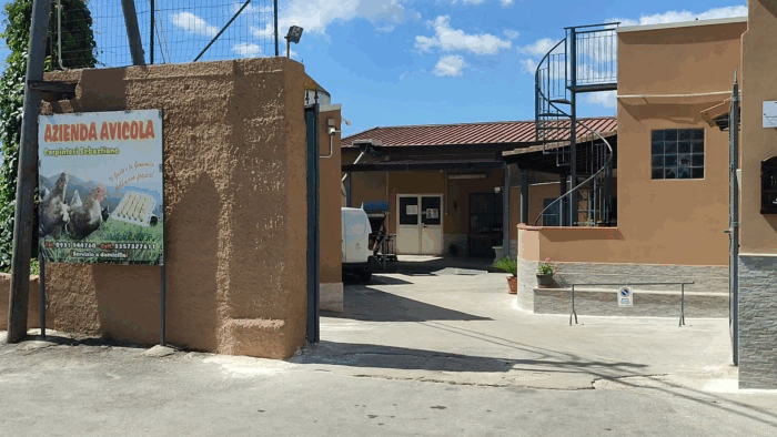 eyJpdCI6IkF6aWVuZGEgQXZpY29sYSBDYXJwaW50ZXJpIFVvdmEgRnJlc2NoZSBkYSBBbGxldmFtZW50byBjb24gQ29uc2VnbmEgR3JhdHVpdGEgYSBEb21pY2lsaW8gYSBTb2xhcmlubyBlIEZsb3JpZGlhIn0=