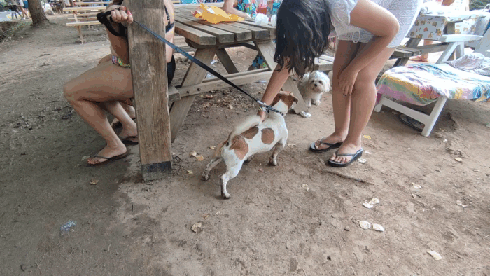 vid_20250814_170528_2 (1)