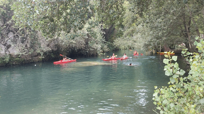 vid_20250814_154633_1