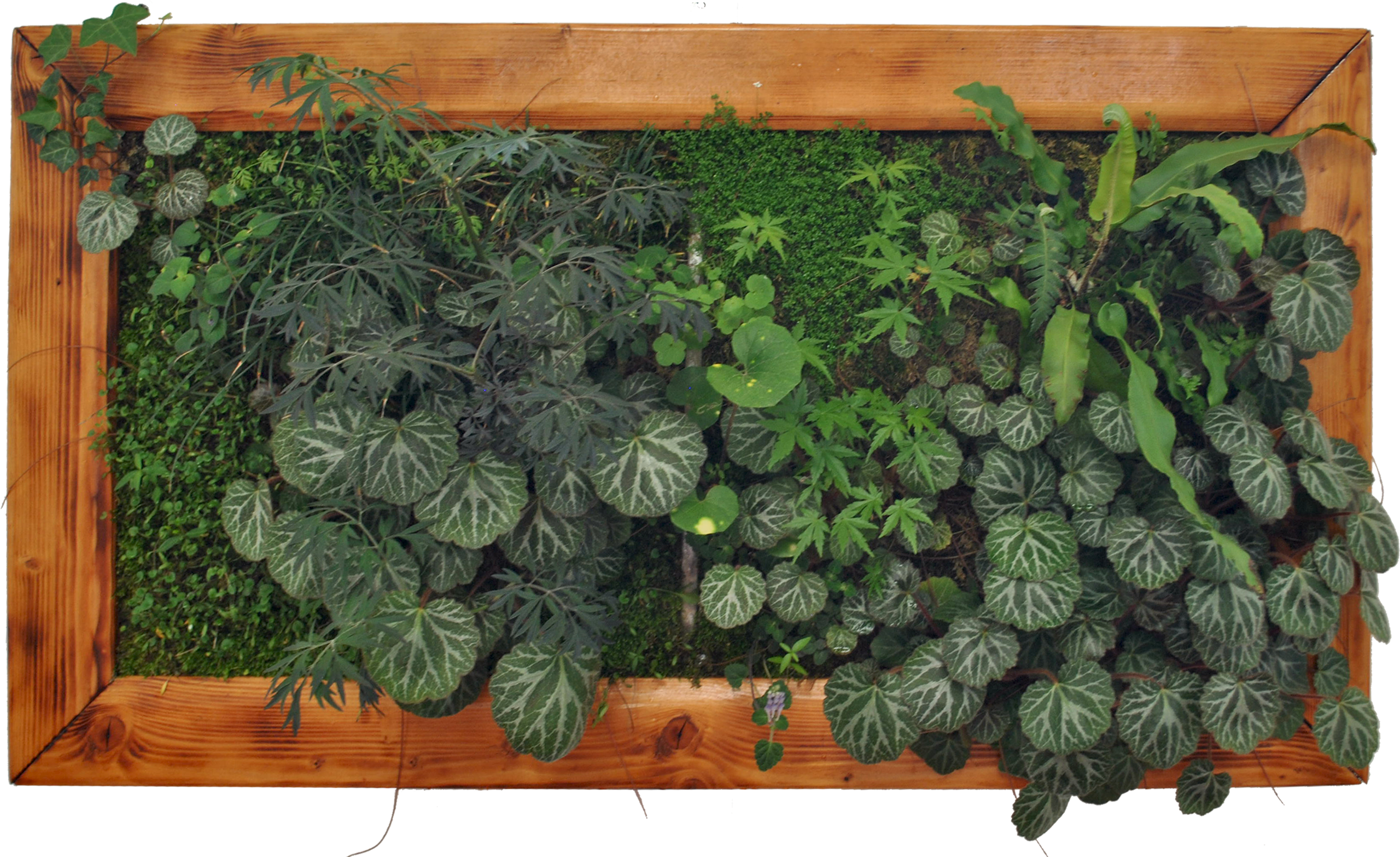 news31-1581273532-1584802569.png news31-1581273532-1584802569.png