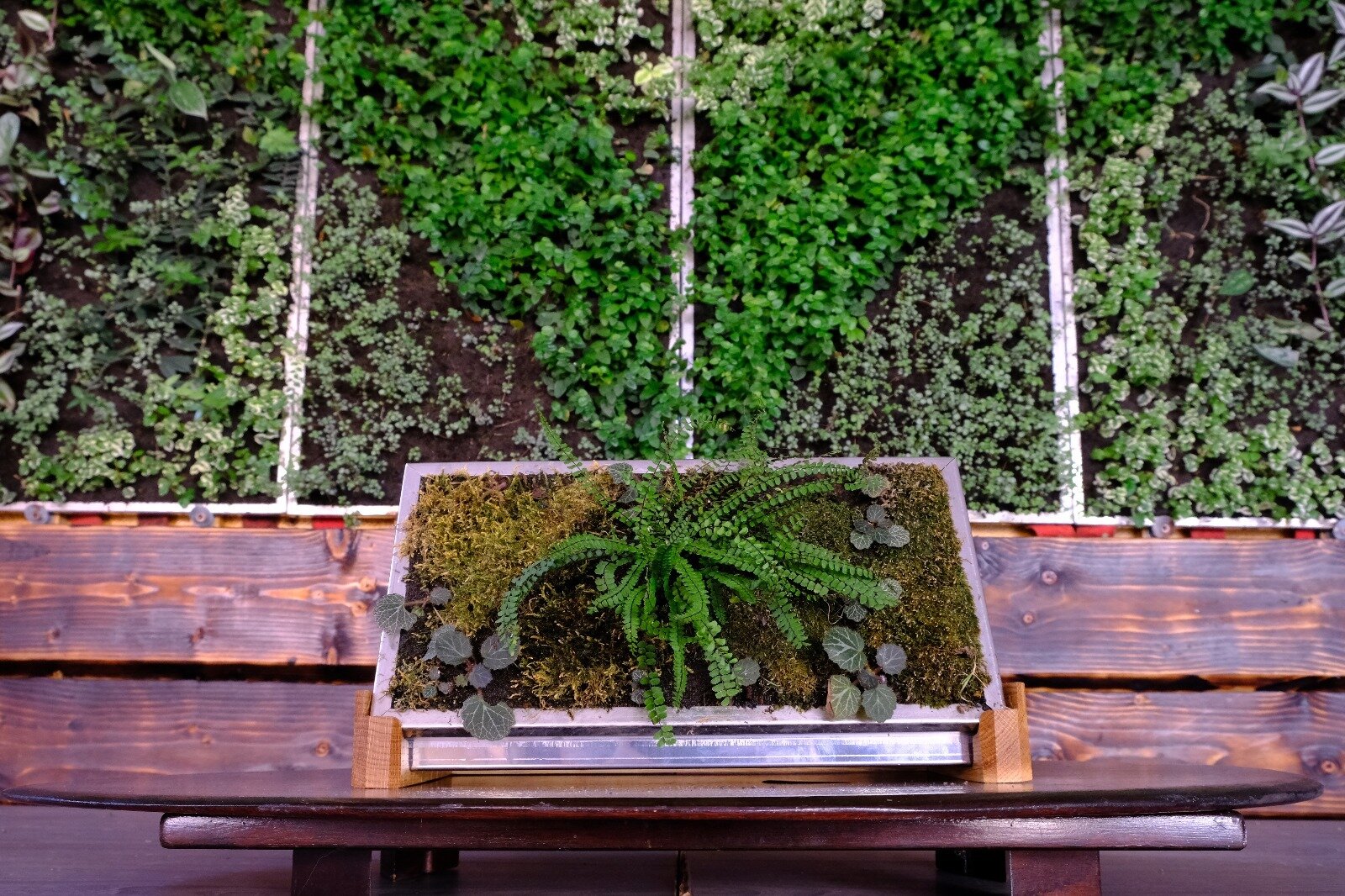 1-1584802685.jpg 1-1584802685.jpg