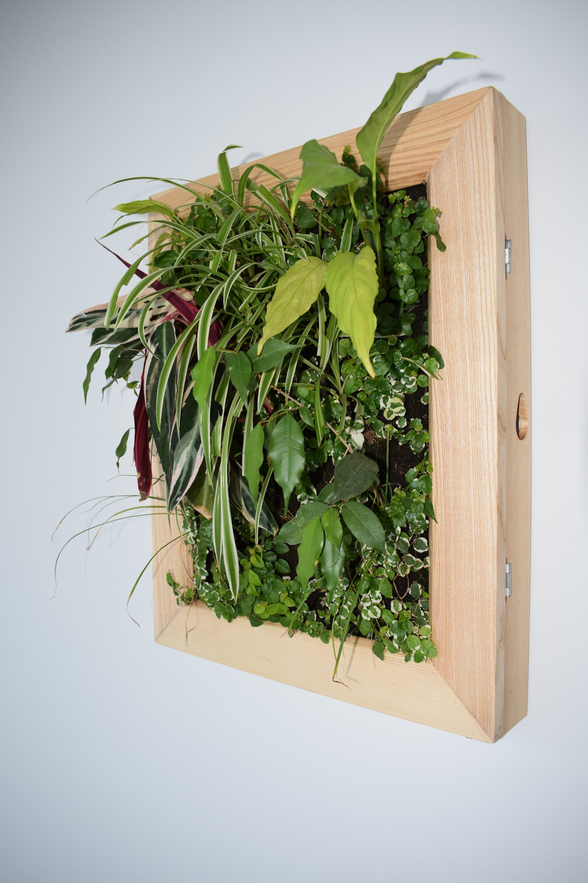 Collezione Santinello - LP Small Collezione Santinello - LP Small