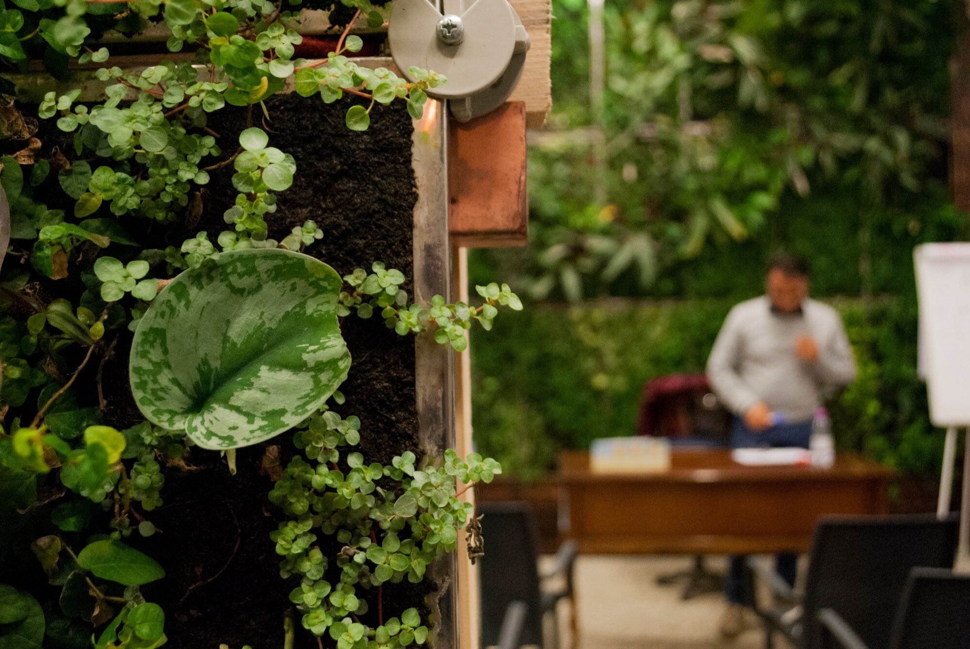 dsc01152-1608917904.jpg dsc01152-1608917904.jpg