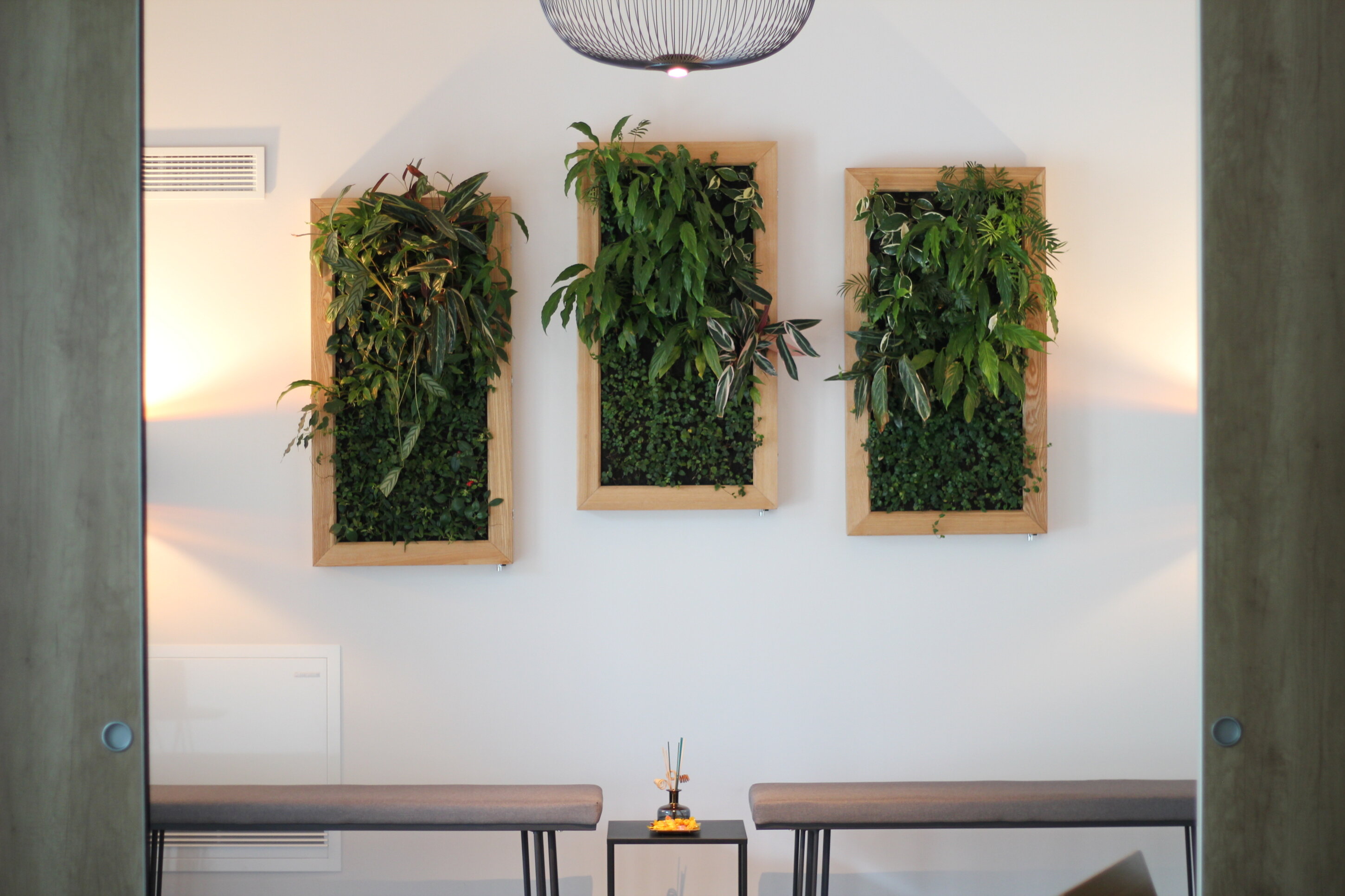 Collezione Santinello - LP Medium Collezione Santinello - LP Medium