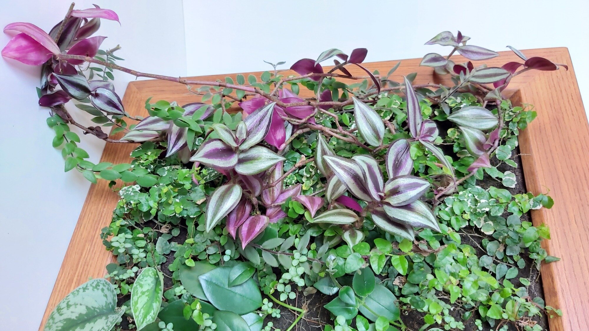 20200510163006-1608921331.jpg 20200510163006-1608921331.jpg