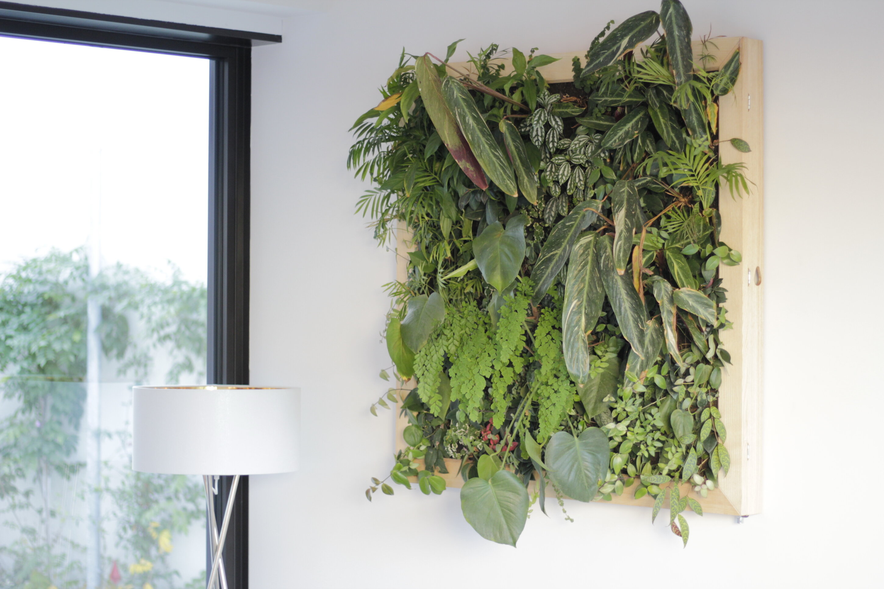 _mg_8671.jpeg _mg_8671.jpeg