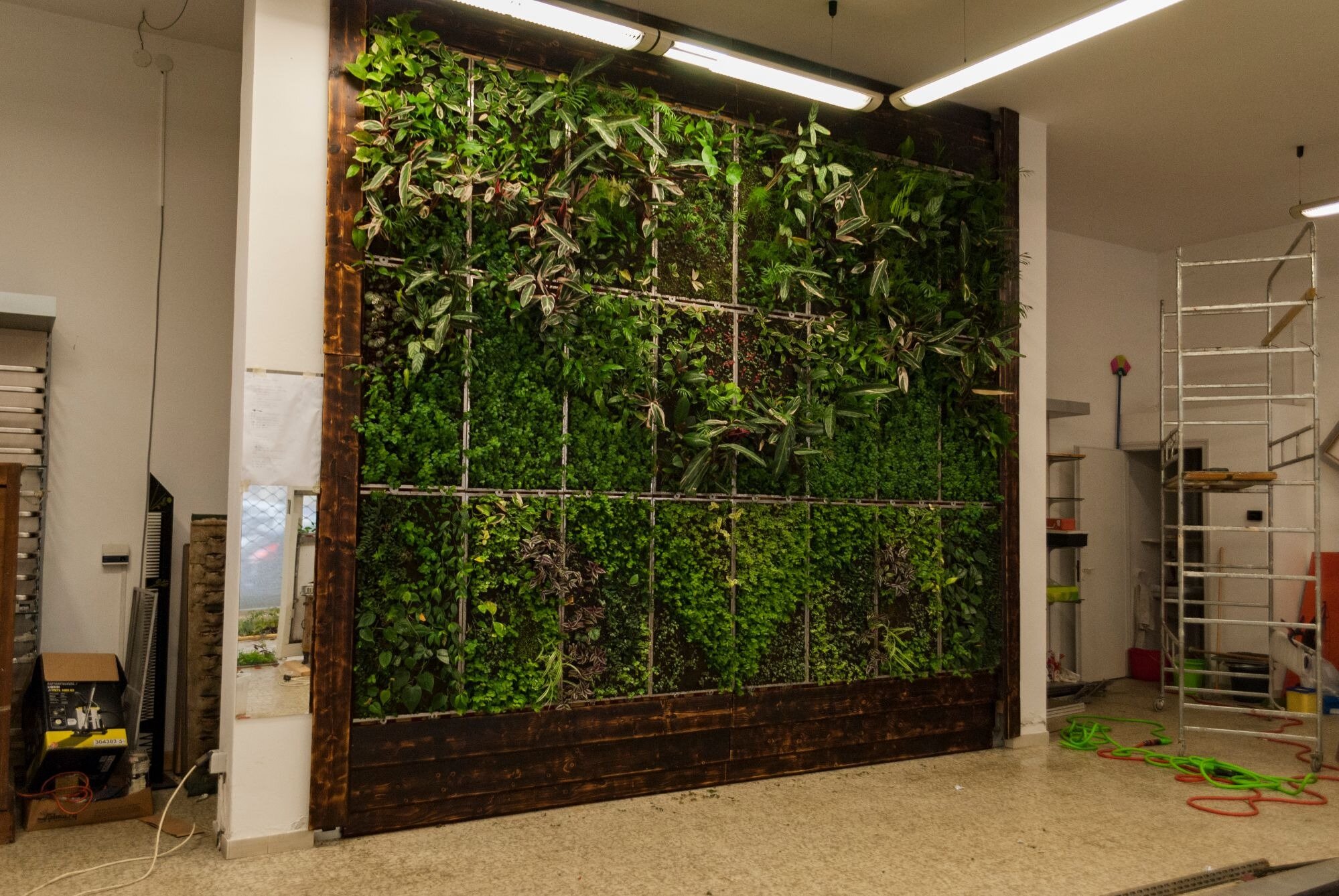 dsc0124-1608917853.jpg dsc0124-1608917853.jpg