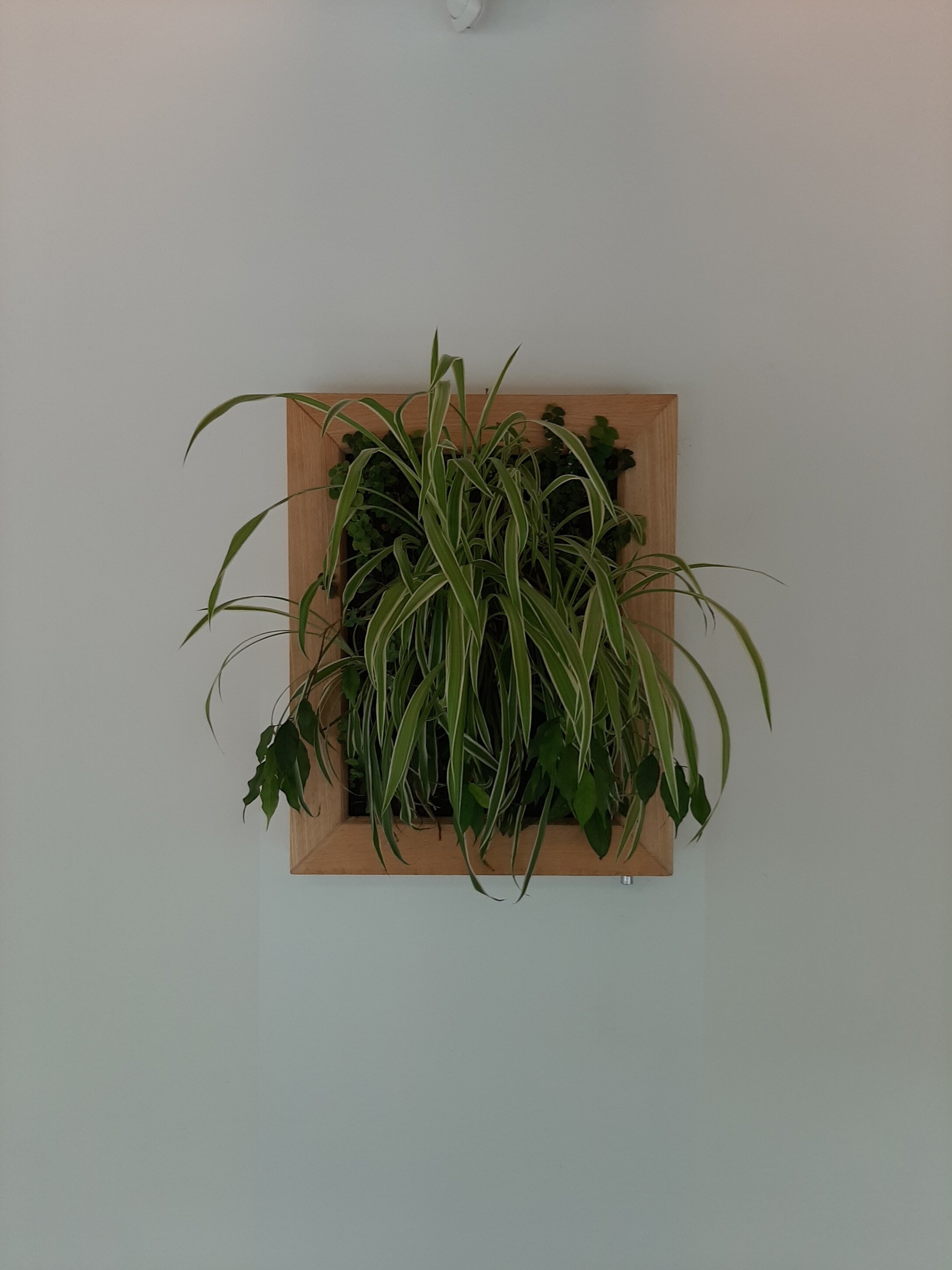 20240523_150036.jpeg 20240523_150036.jpeg