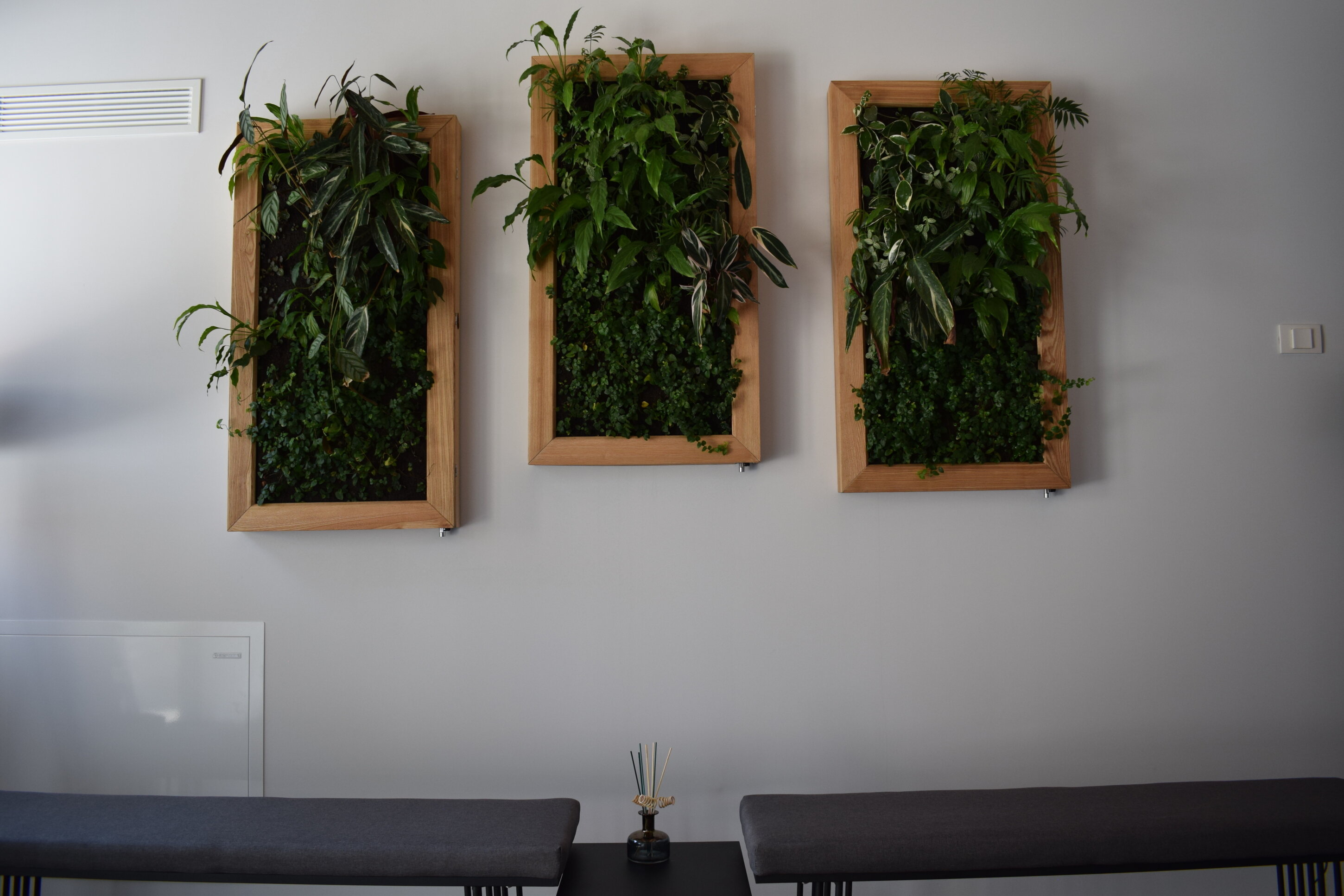 dsc_0028.jpeg dsc_0028.jpeg